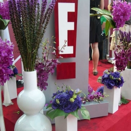 E! Red Carpet at Emmys 2007