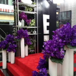 E! Red Carpet at Emmys 2013