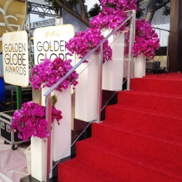E! Red Carpet at Golden Globes 2014