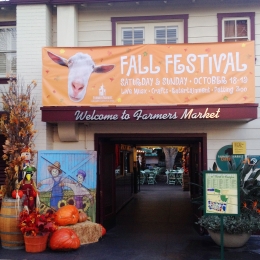 Fall Festival 2014